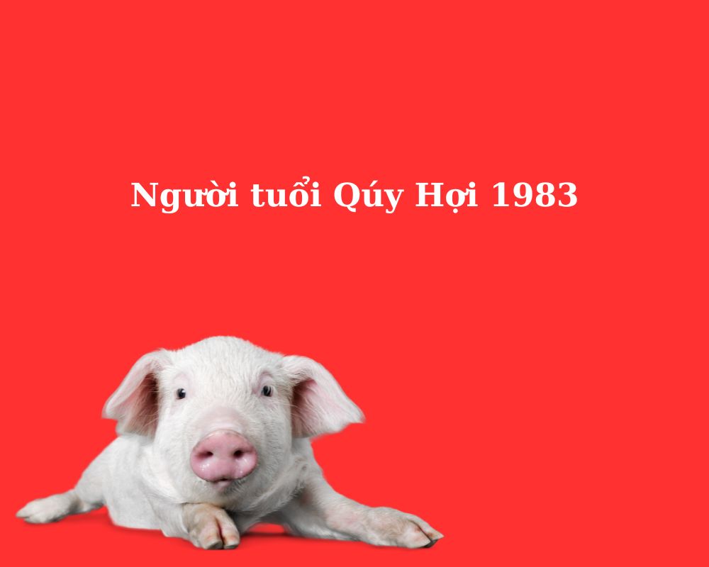 Người tuổi Qúy Hợi 1983