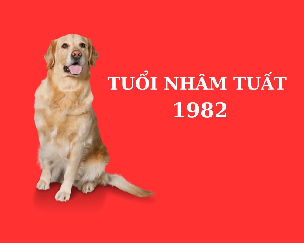 Tổng quan về tuổi Nhâm Tuất 1982