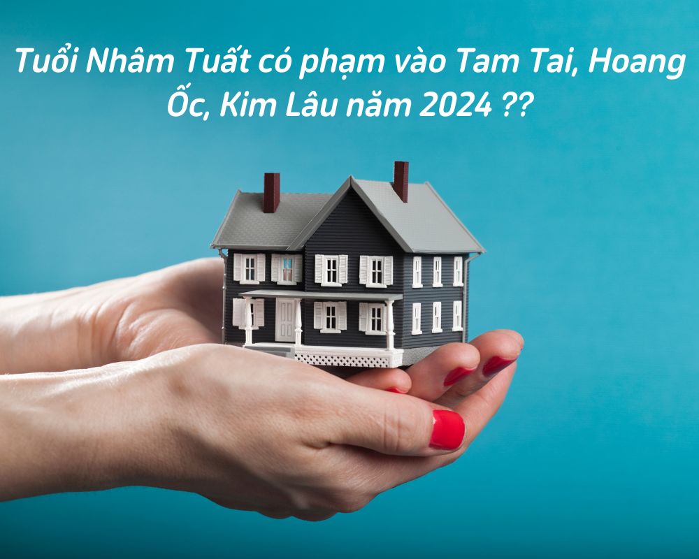 Tuổi Nhâm Tuất 1982 năm 2024 có phạm vào Tam Tai, Hoang Ốc, Kim Lâu hay không?